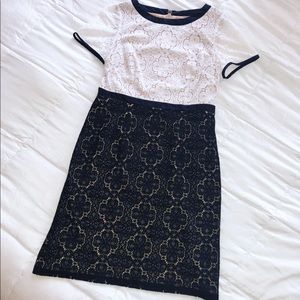 NWOT Black/White Lace Cocktail Plus Size Dress